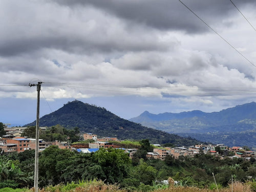 Colombia, Aponte - Caturra, honey