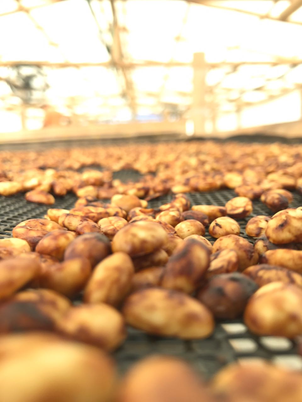 Colombia, Aponte - Caturra, honey