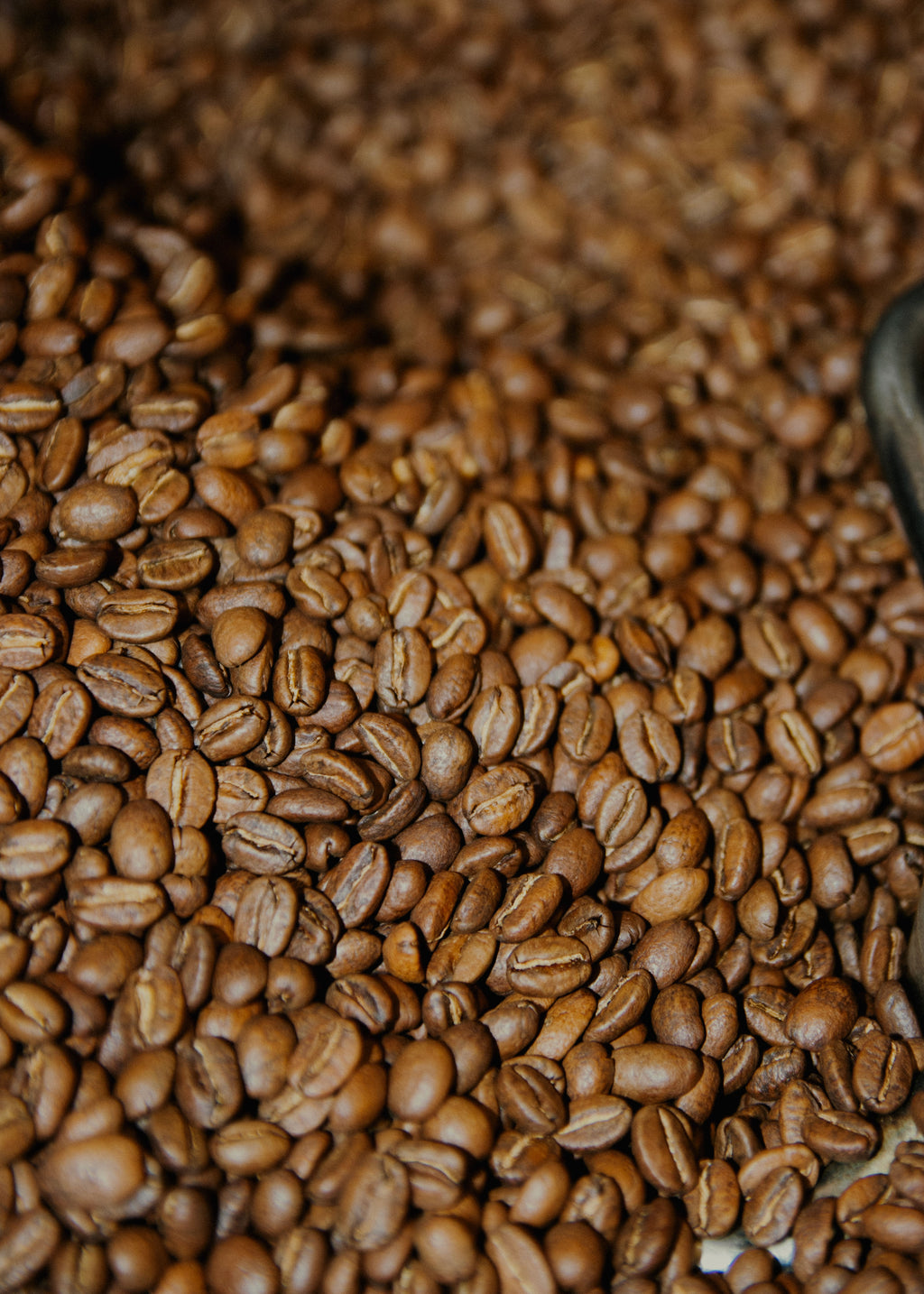 Cafelix's seasonal blend