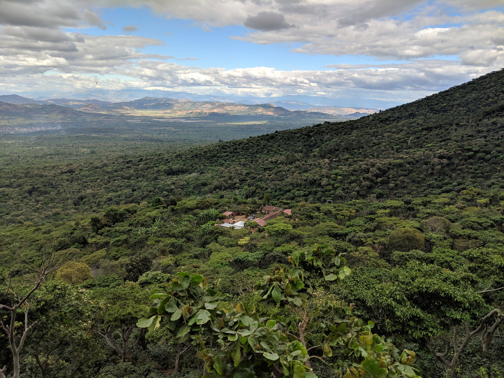 El Salvador, Santa Ana - Tabi, macerated-natural 72 Hours (anaerobic)