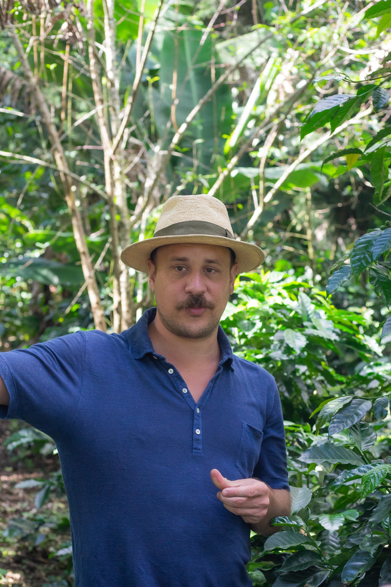 El Salvador Bourbon Washed process