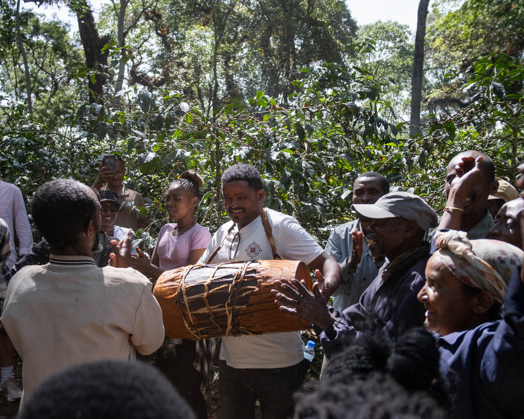 Ethiopia, Kaffa - Bitta Farm (JARC) Washed