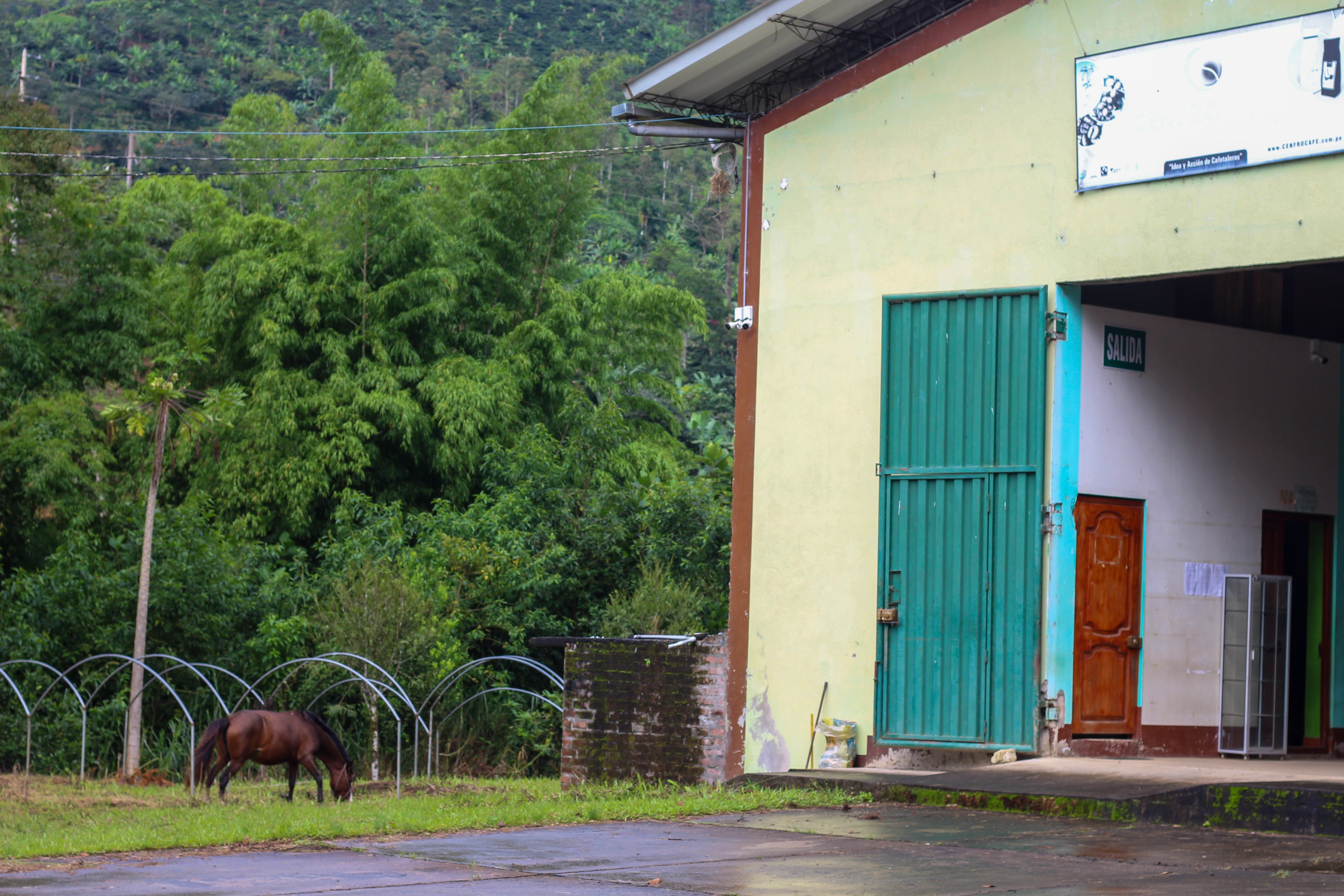 Peru, Cajamarca - Tabaconas, Honey