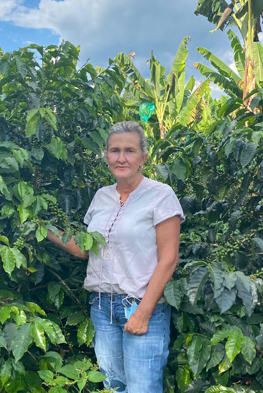 Colombia, Quindío - Pink Bourbon, Washed